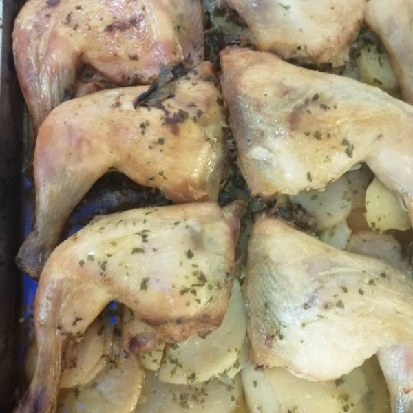 WhatsApp Image 2025-07-21 at 11.29.50